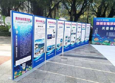 古丈KT板的种类和知识。